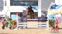国际马术盛宴登陆杭州桐庐 掀起长三角马术热潮