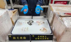 苏州海关查获34件濒危动物